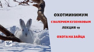 Охотминимум. Лекция 19. Охота на зайца