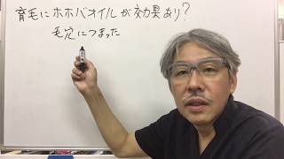 育毛にホホバオイルが効果あり？　東京発毛再生院　江東区　墨田区　薄毛対策　人気　オススメ　整体　薄毛治療/大賀筋整復治療院　発毛予約ダイヤル　03-5600-0235