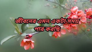 জীবনের এমন একটা সময় পার করছি। কণ্ঠে অনন্যা মিত্র। #kobita #banglakobita #bangla