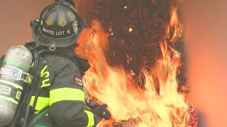 WATCH: Firefighters demonstrate how quickly a dry Christmas tree can catch fire