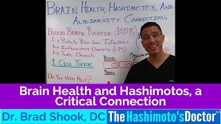 Brain Function and Hashimotos, a Critical Connection