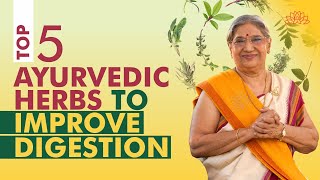 How To Improve Digestion? | Top 5 Ayurvedic Herbs For Gut Health | Digestive Problems | Dr. Hansaji