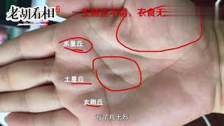 手相案例分析一生财运不错，衣食无忧的手相【老胡看相】