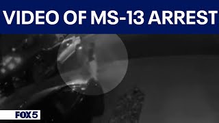 New video shows arrest of alleged MS-13 gang leader in Virginia