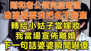 剛和老公領完結婚證！准婆婆要我把名下房產轉給小姑子當嫁妝！我當場宣佈離婚！下一句話婆婆瞬間嚇傻！#生活經驗 #情感故事 #深夜淺讀 #幸福人生 #深夜淺談