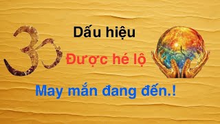 Bí Mật Được Hé Lộ: Dấu Hiệu Chỉ Tay Của Người Thành Công!