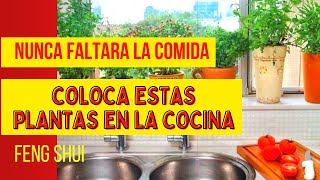 COLOCA ESTAS PLANTAS EN LA COCINA Y ATRAE LA ABUNDANCIA SEGÚN EL FENG SHUI #ConexionMay