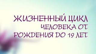 PT208 Rus 13. Совместный поиск решения. Жизненный цикл человека от рождения до 19 лет.