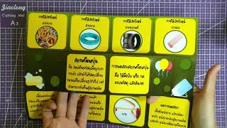 สื่อการสอน การ์ดป๊อปอัพ (Pop-card) แบบที่ 2 by KruBaitoei Science