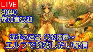 [ドラゴンズクラウンプロ]#040 エルフで混沌の迷宮を踏破したい (DRAGON’S CROWN PRO)