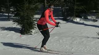 Běh na lyžích: Klasická technika