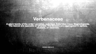 Medical vocabulary: What does Verbenaceae mean