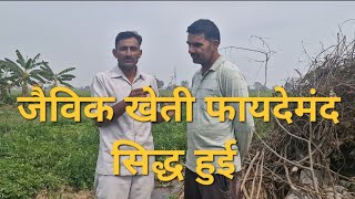 किसान अनूप गांव जुगलान जिला हिसार हरियाणा अनूप ने बताया कि जैविक खेती किसानो के लिए फायदेमंद ह।।