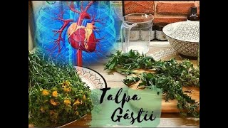 Tinctura de Talpa Gâștei pentru afecțiunile cardiovasculare