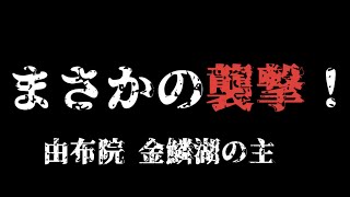 「由布院ネタ」 金鱗湖でまさかの襲撃‼️