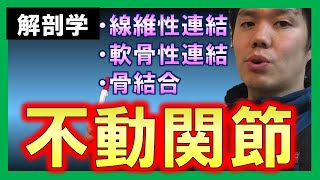 【基礎から勉強・解剖学】不動関節【理学療法士・作業療法士】