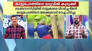 ടെക്നോസിറ്റിയിൽ നാട്ടുകാരെ വിറപ്പിച്ച കാട്ടുപോത്തിനെ ഒടുവിൽ കുടുക്കി..