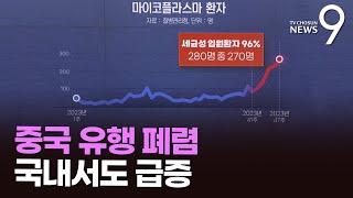 중국 유행 폐렴…국내서도 급증 [따져보니]