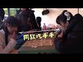 白澍孙雅丽上演戏外版珍珑棋局，杨祐宁张天阳何泓姗成最强助攻