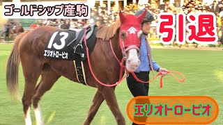 【ゴールドシップ産駒】現役お疲れさま❗️エリオトローピオちゃんラストパドック\u0026返し馬🥹