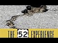 welcome to the 52 experience