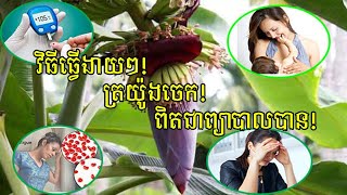 អត្ថប្រយោជន៍នៃរុក្ខជាតិ៖ត្រយ៉ូងចេកមានប្រយោជន៍លើសពីការគិតព្យាបាលជម្ងឺបានច្រើនមុខ