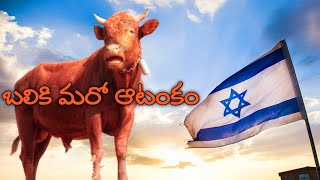 ఇక మొదలు అనుకొనే సమయానికి ఇలా, israel కోసం ప్రార్థన చేయాల్సిన సమయం వచ్చేసింది #bible#prophecy#israel