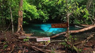 สระมรกต สถานที่ท่องเที่ยวกระบี่ น้ำใสสีเขียว ธารน้ำอุ่น Unseen Thailand : ไทยเที่ยวไทย