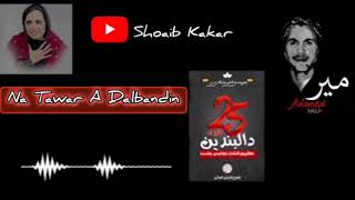 Ne Tawar A Dalbandin /  New Song 2025 / Mir Ahmed Baloch / By Shoaib Kakar