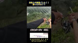 岩魚との高速バトル！！勝ったのは？＃short＃AreaMinnowing