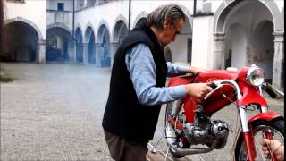 Motorcycle TOMOS Colibri special (D-3)