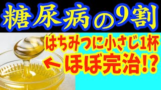 【糖尿病必見！】知らないと一生後悔！はちみつを入れるだけで血糖値\u0026HbA1c・コレステロールが下がる食べ物と製薬会社が秘密にする知られざる健康効果を徹底解説【脂質異常症・血糖値】