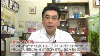 夏バテについて　荻秀幸の漢方納得相談