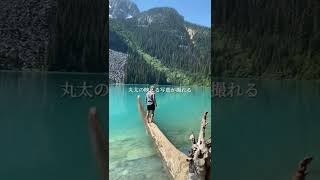 【カナダ旅行】バンクーバーおすすめの湖！ #shorts