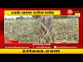 shirur sugarcane farmers या साखर कारखान्याचा गाळप हंगाम पूर्ण ऊसतोड कामगार परतीच्या मार्गावर