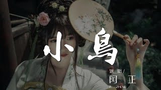 小鳥 - 阿正『我向往自由 嚮往天空』【動態歌詞Lyrics】