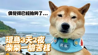 柴犬跟爸媽騎車環島3天2夜！興奮出門→苦臉合照🫥｜寵物動物｜狗狗｜精選影片