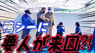 シャチ首脳会談？　鴨川シーワールド