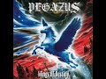 pegazus wings of steel