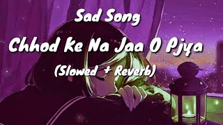 Chhod ke na jaa oh piya (Slowed + Reverb) | lofi songs #slowedsongs