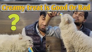 How Many treats should I give my cat a day || Why do cats like creamy treats? #cat #catlover #animal