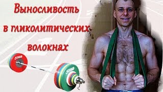 СЕЛУЯНОВ. Выносливость. Гликолитические мышечные волокна. №12