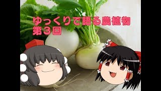 ゆっくりで語る農植物　第３回　カブ