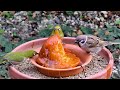 植木鉢でバードフィーダー（野鳥の餌台）カキ編～メジロ ジョウビタキ ヒヨドリ スズメ