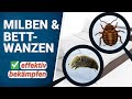 Milben und Bettwanzen bekämpfen