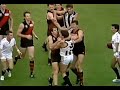 Brian Taylor Meltdown triggers AFL Fight/Melee/all-in brawl