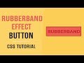 Rubberband Effect On Hover Button | CSS Button Hover Effects | CSS Tutorial