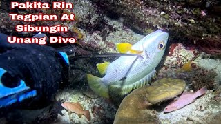 Ep 737 Dive 1pakita rin tagpian at sibungin sa Unang Dive night spearfishing Philippines