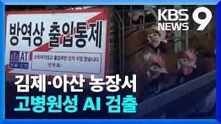 김제·아산 농장서 고병원성 AI 검출  [9시 뉴스] / KBS  2023.12.09.