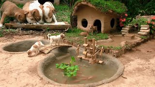Rescue Abandoned Puppies Build Mud House Dogs And Fish Pond For 1,000 Red Fish